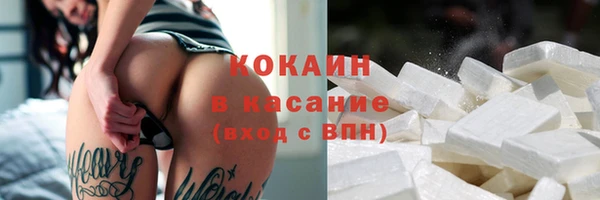 твердый Богородск