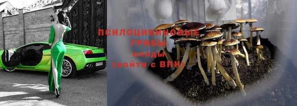 твердый Богородск