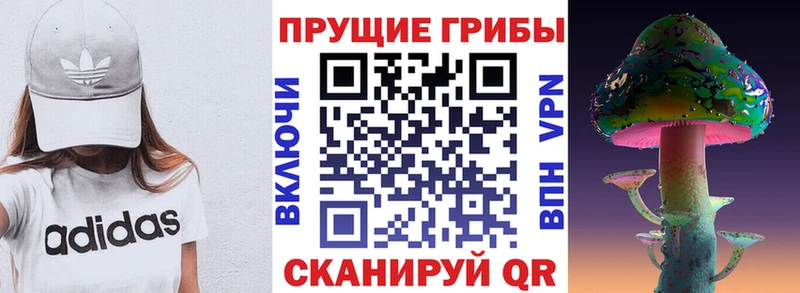 Купить  Нерюнгри  Псилоцибиновые грибы ЛСД 